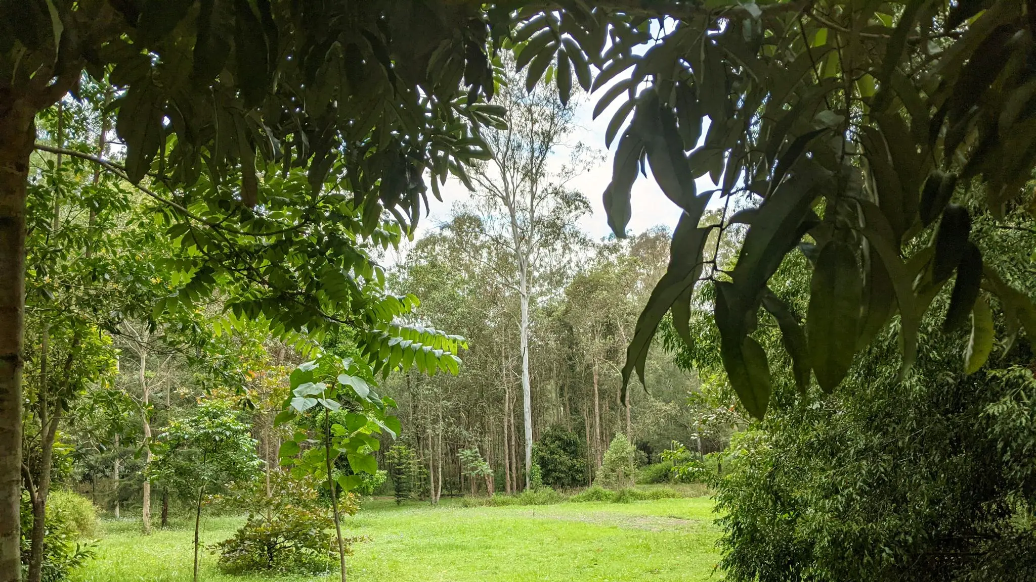 The_Grove_4