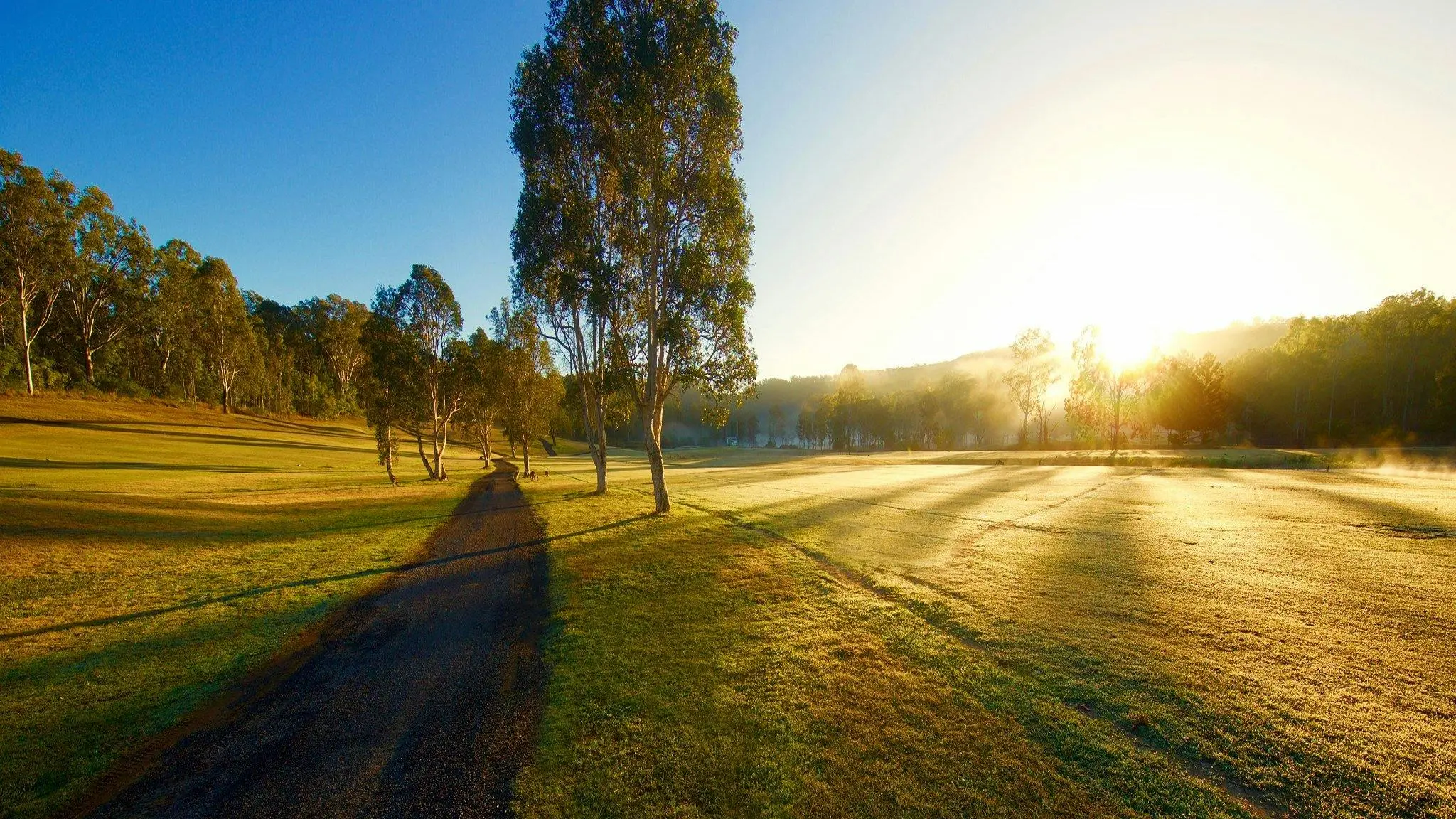 The_Kooralbyn_Valley_10