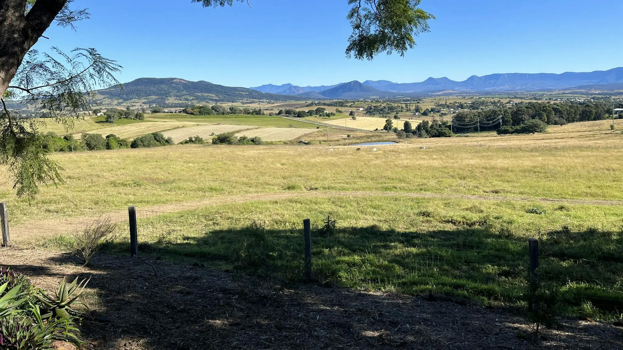 Trinity_Manor_Scenic_Rim_3