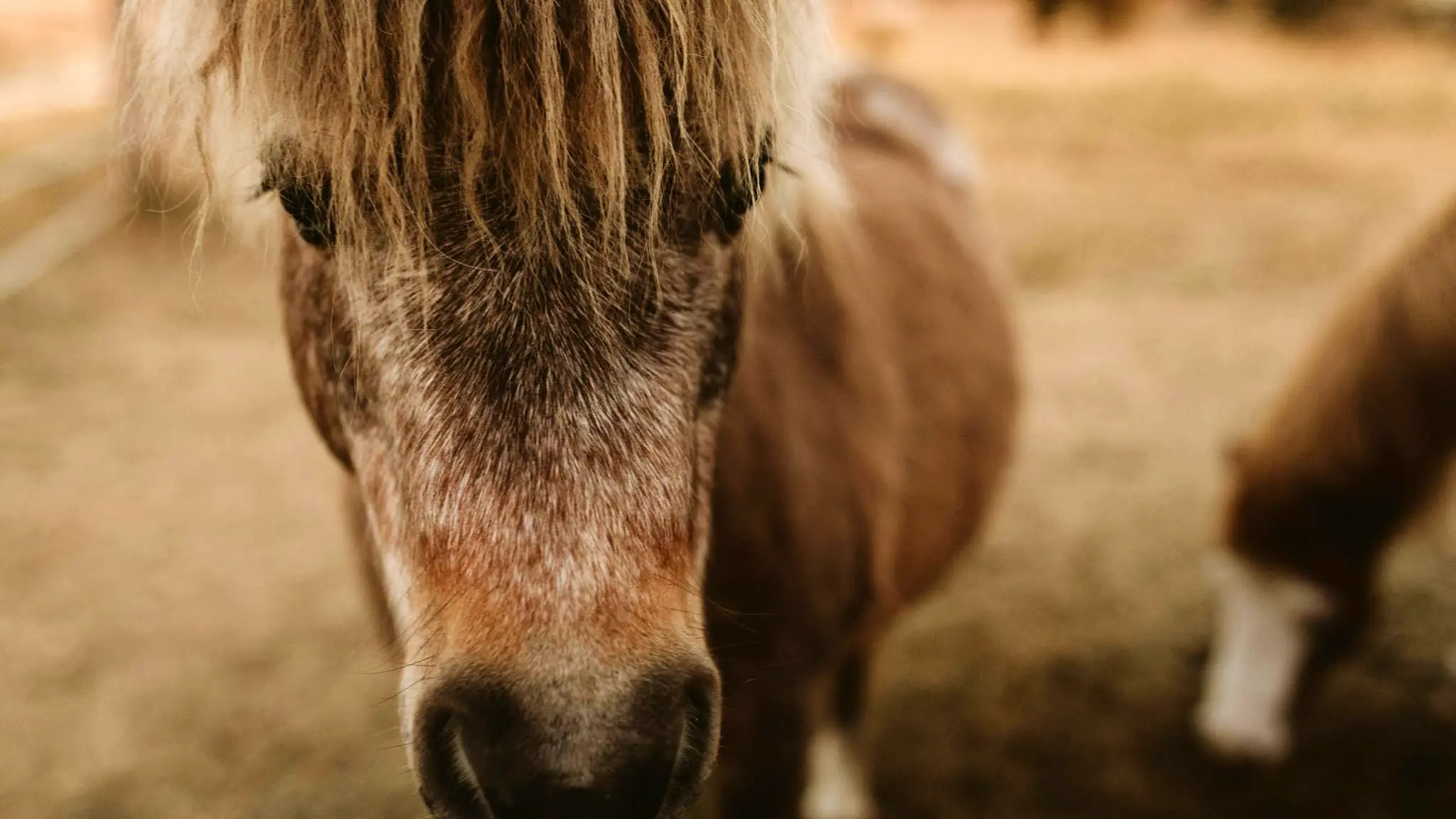 Twigley_Farm_8