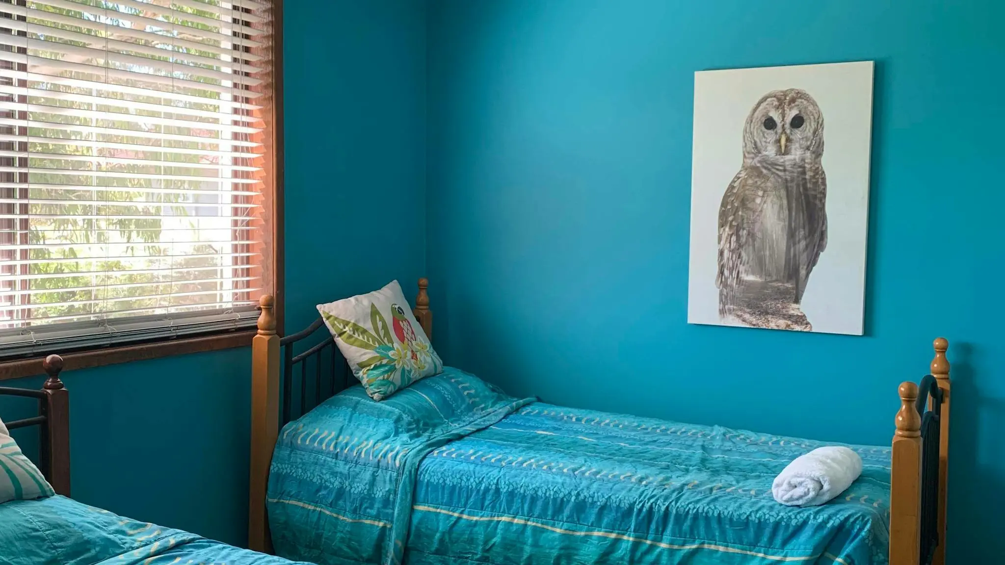 Villa_on_Ferguson_3