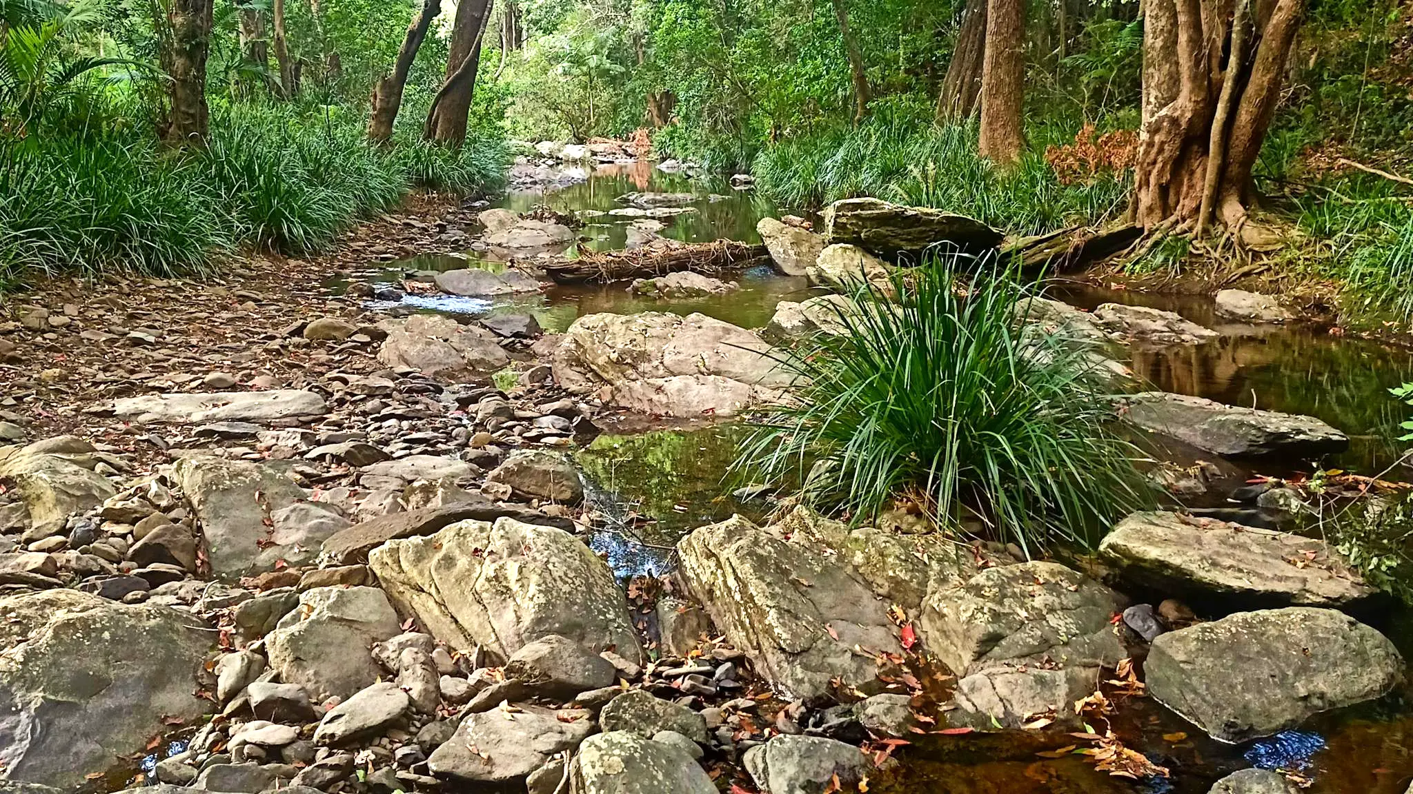 Willsons_Rivercamp_1