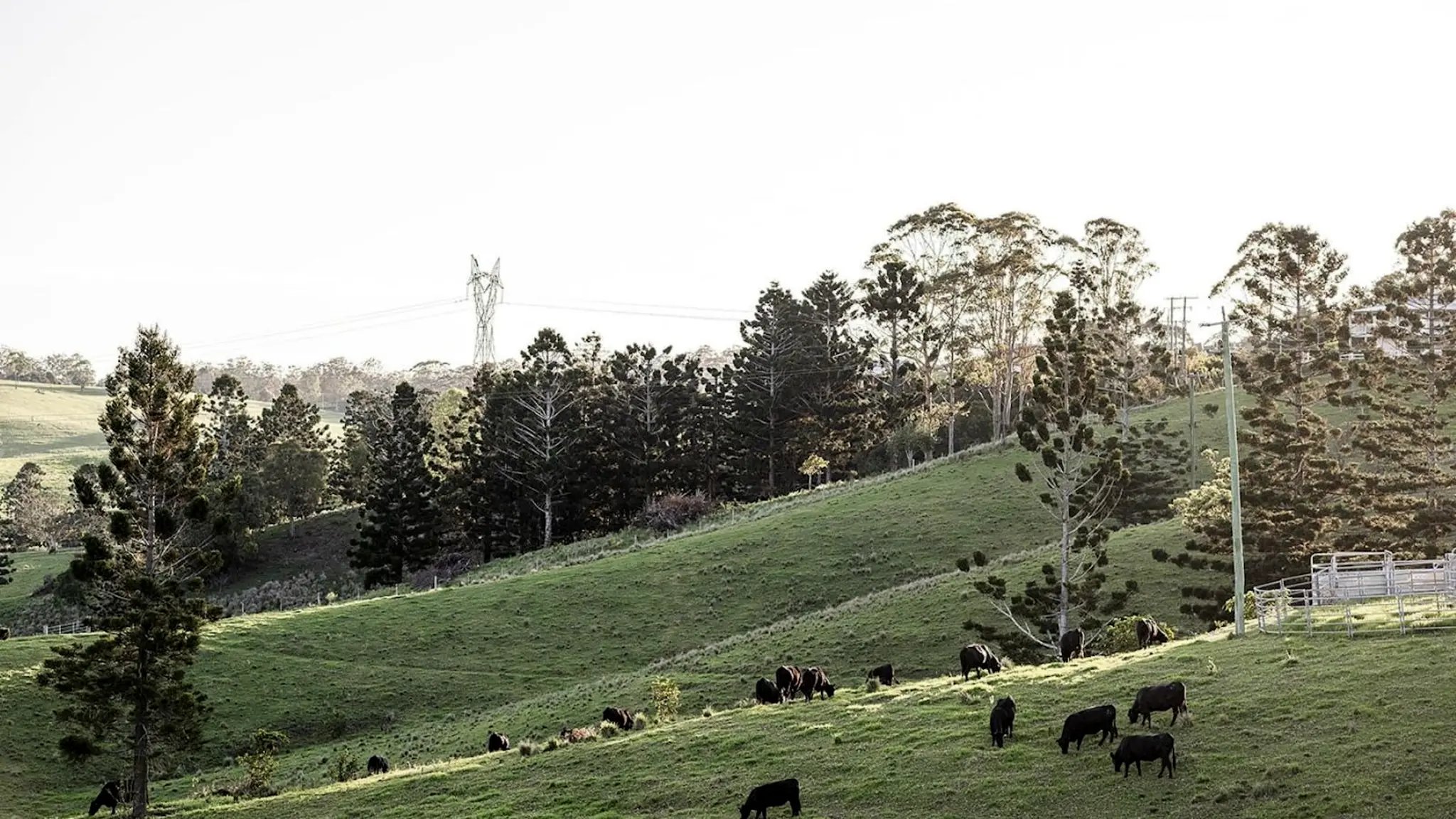 Yajambee_Farm_Stay_1