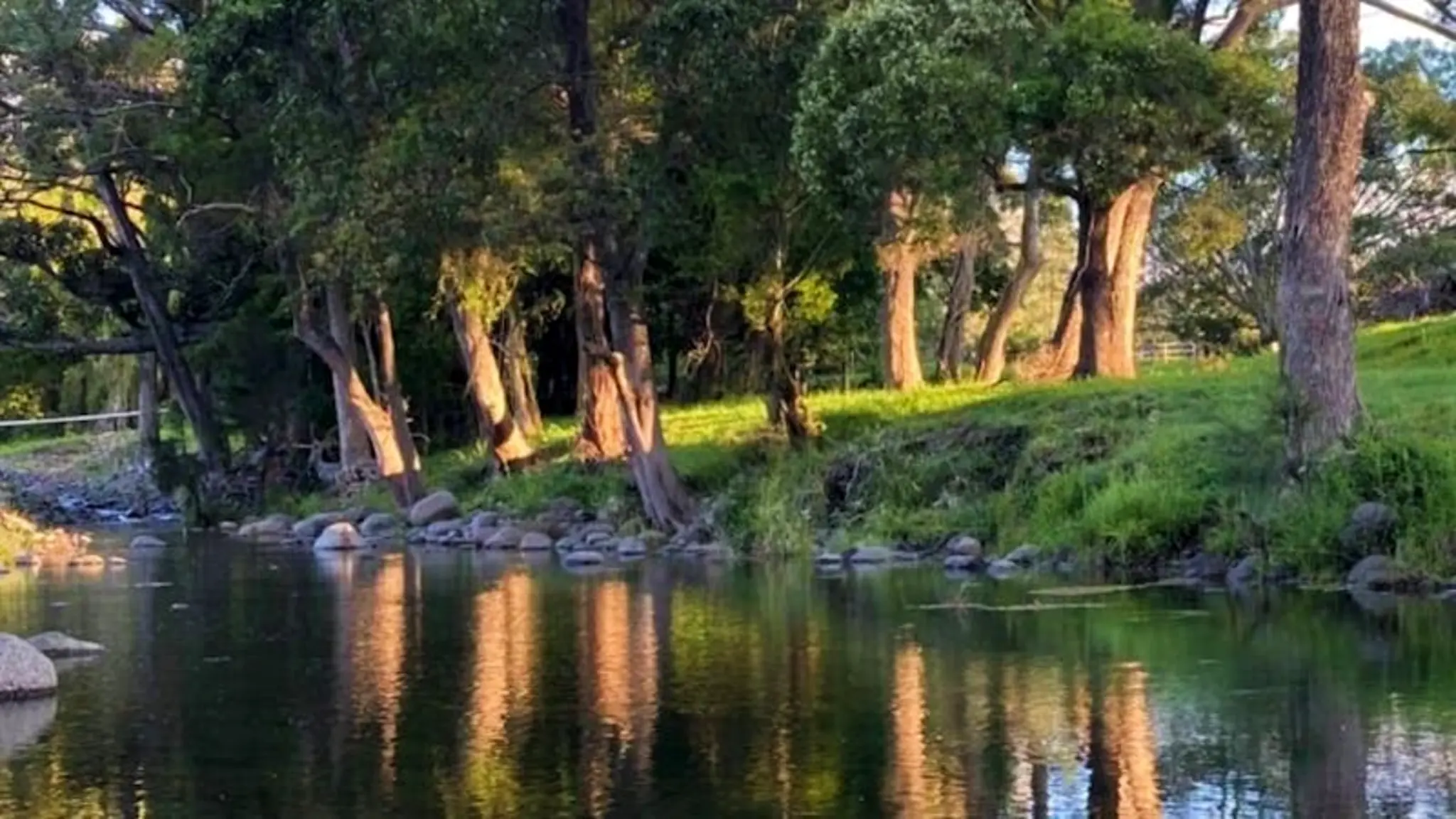 Yalbaroo_Scenic_Rim_Retreat_4