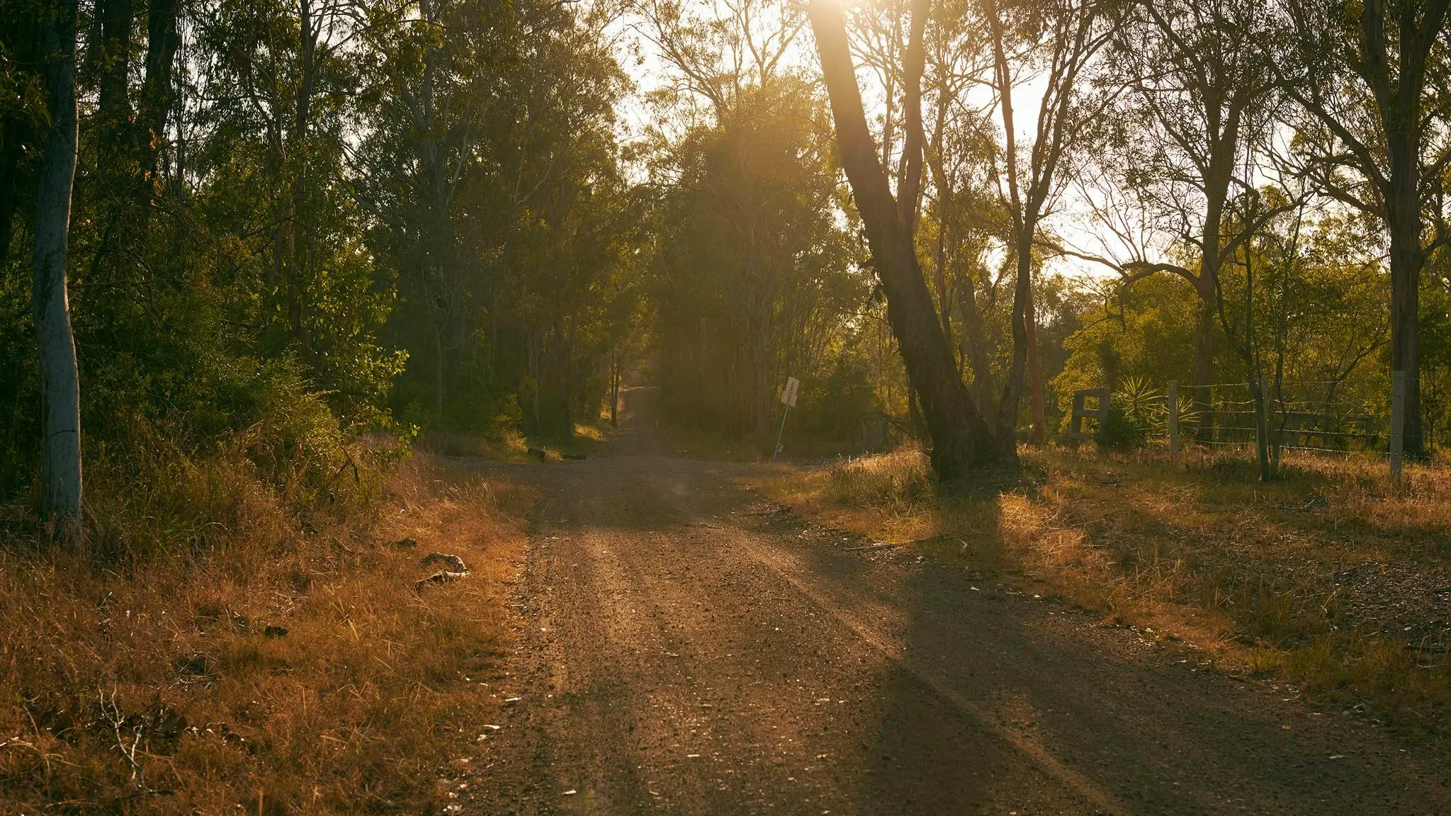 Raysource Road-1