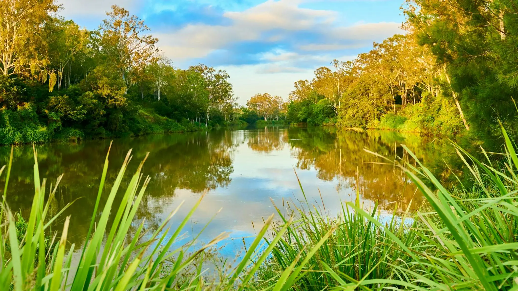 Riverside_Park_3