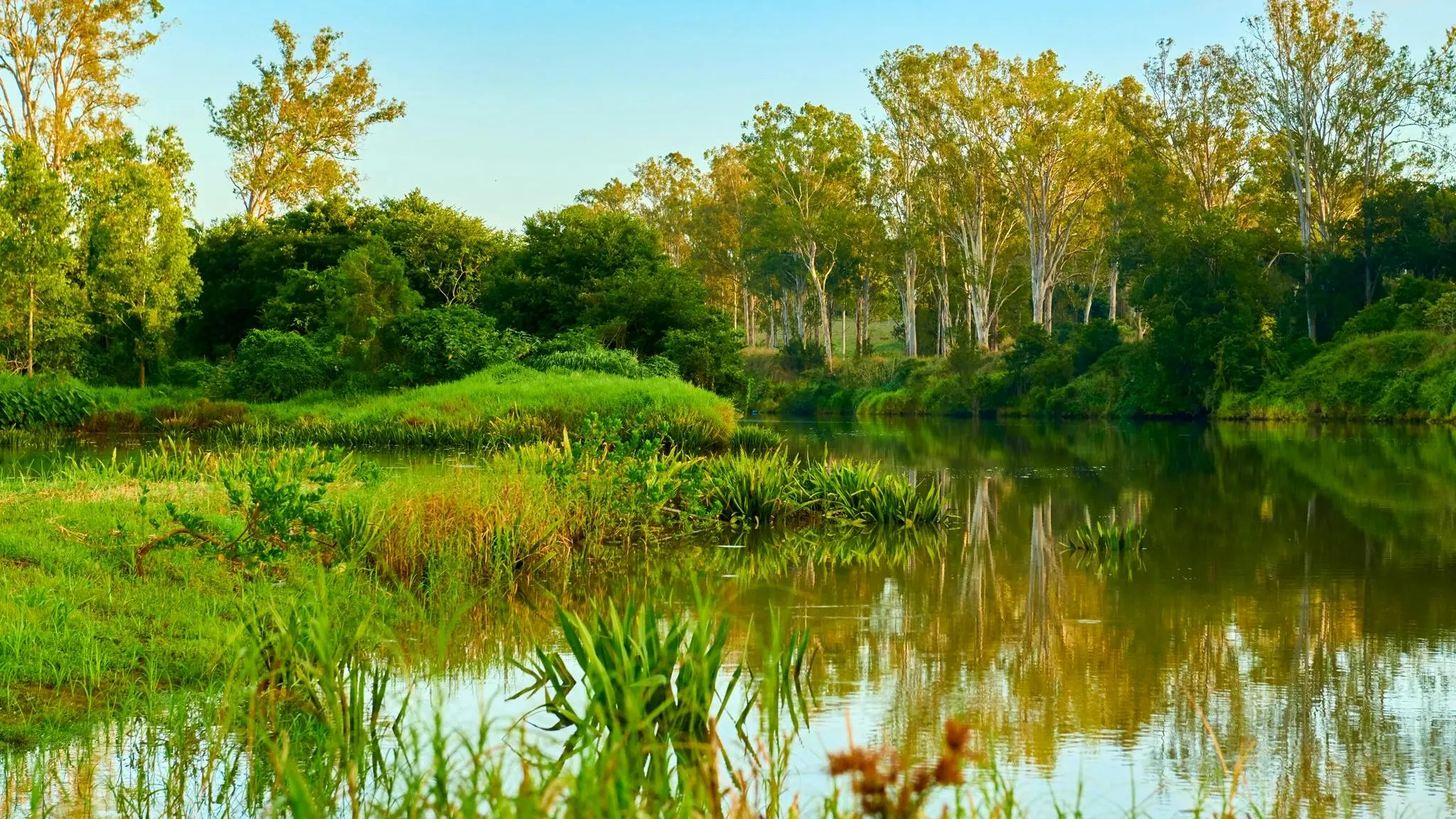 Riverside_Park_4